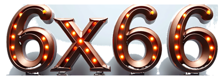 6x66 logo
